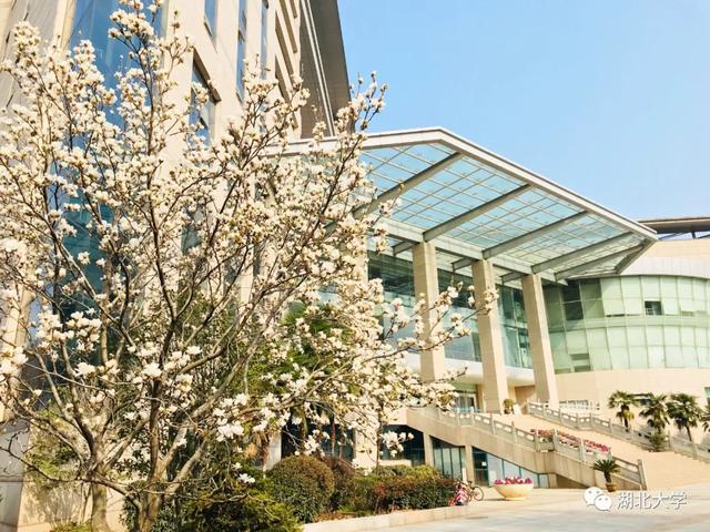 必赢线路检测中心校长谢红星在学生班会上的特别寄语：热爱生活，珍爱生命